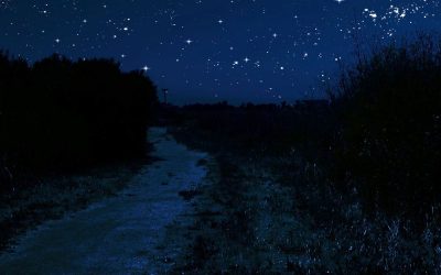 AQUELA NOITE DE VERÃO ESTRELADA