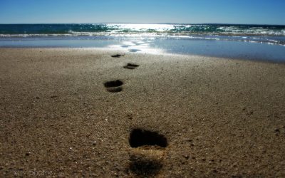 CANÇÃO SEM PALAVRAS