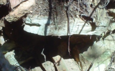 CASTRO DE SEIXAS. CONTANDO AS PEGADAS CELTAS