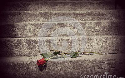 COMO NASCE A LEMBRANÇA?