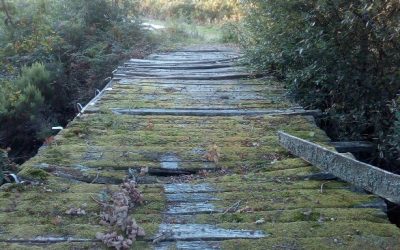 TENDEMOS PONTES SENLLEIRAS ACOTÍO