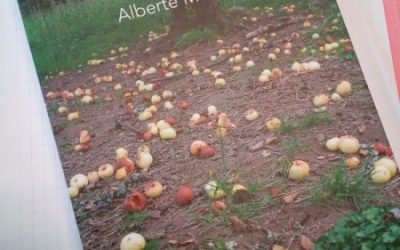 TRIPAS de Alberte Momán Noval