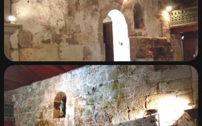 #SalvemosOsFrescosDosVilares