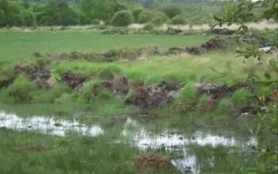 A BRAÑA DE BOEDO, por Antón de Guizán